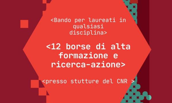 Bando per 12 borse di alta formazione e ricerca-azione