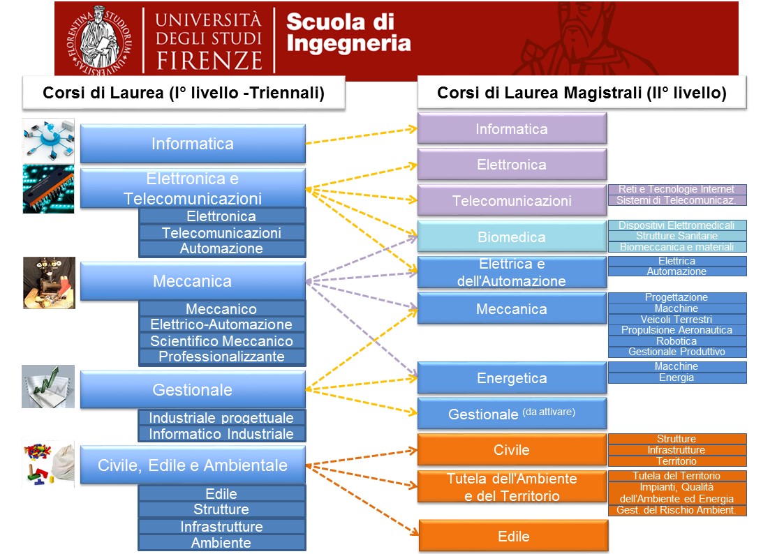 Flowchart corsi di laurea